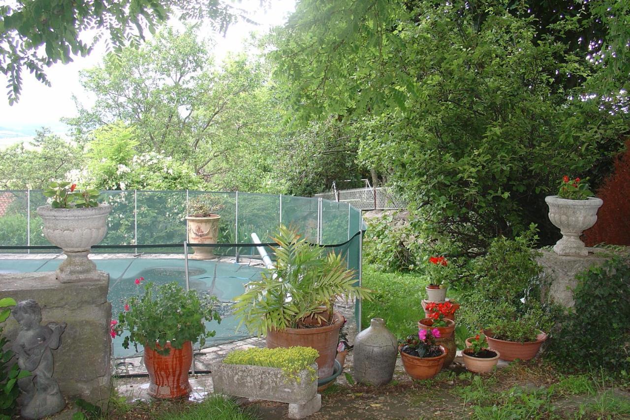 L Echarpe D Iris Bed and Breakfast Montpeyroux  Buitenkant foto